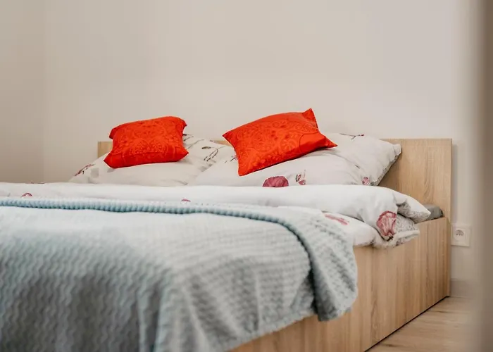 Nocosfera Wroclawski * Kalisz